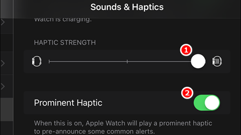 Hướng dẫn điều chỉnh cảm biến haptic trên Apple Watch hình 4